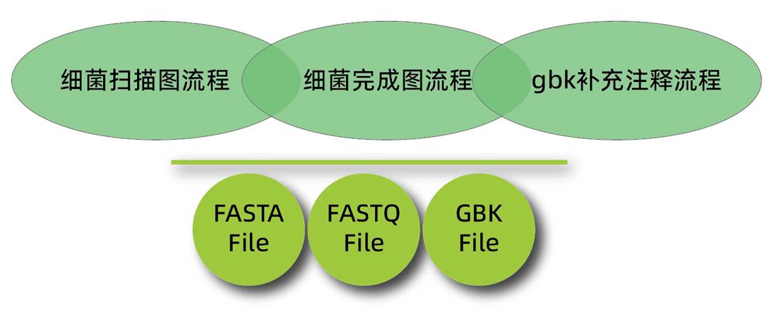 三套细菌基因组云流程_画板 1
