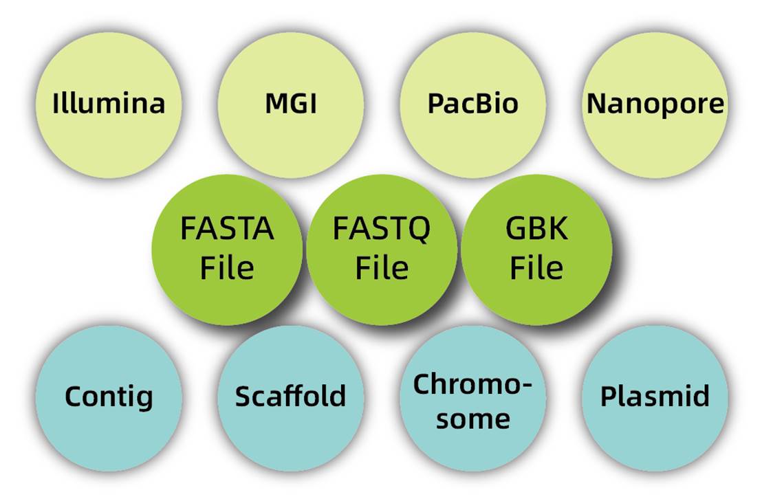 三套细菌基因组云流程-数据类型-02-02